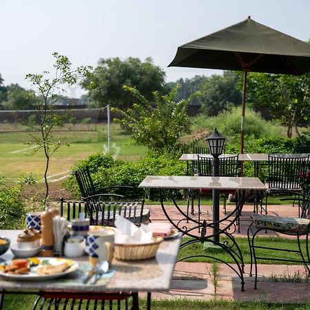 Tree Of Life Ecotainers Agra Hotel Agra  Ngoại thất bức ảnh
