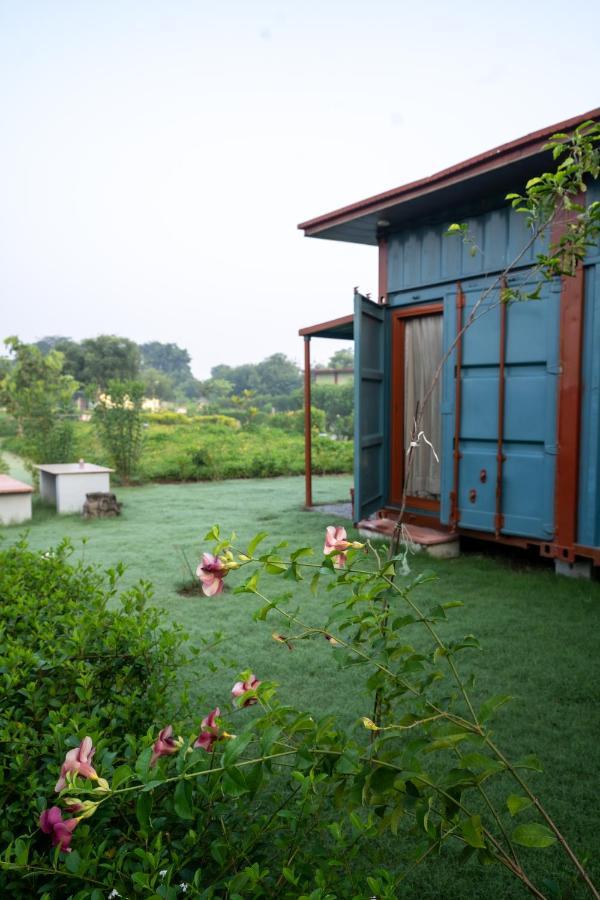 Tree Of Life Ecotainers Agra Hotel Agra  Ngoại thất bức ảnh