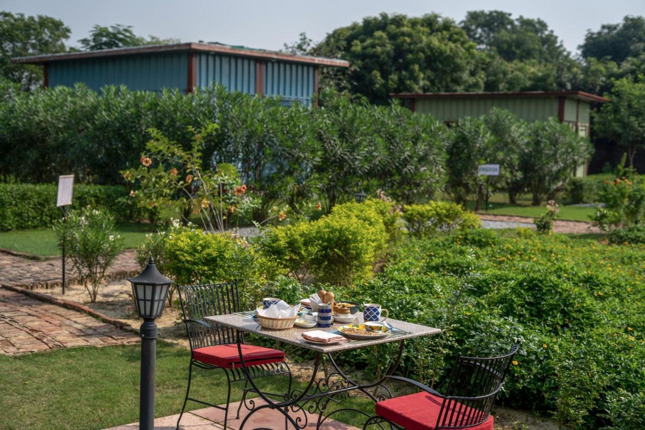 Tree Of Life Ecotainers Agra Hotel Agra  Ngoại thất bức ảnh