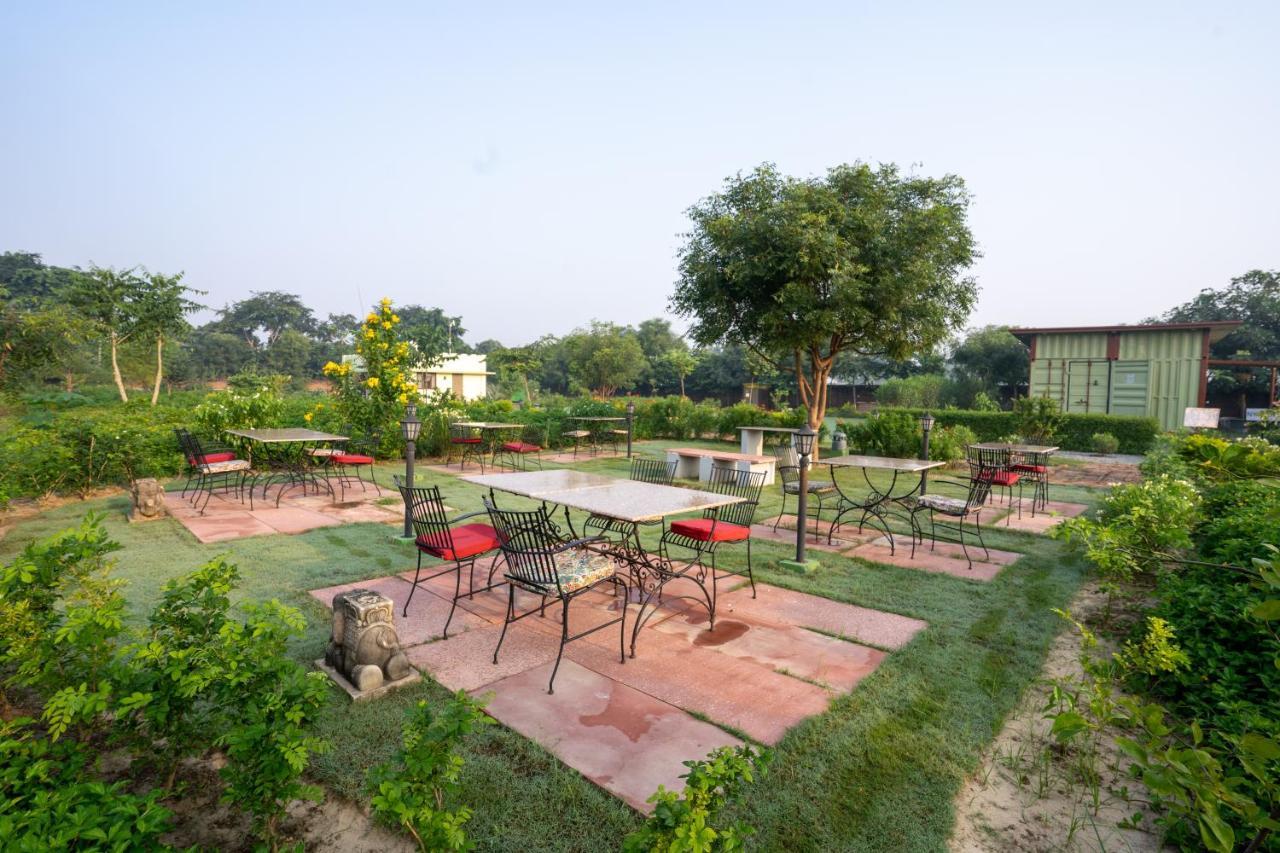 Tree Of Life Ecotainers Agra Hotel Agra  Ngoại thất bức ảnh