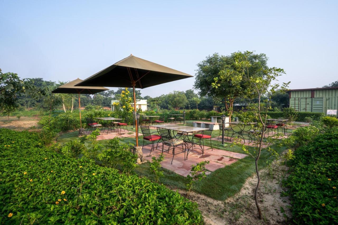 Tree Of Life Ecotainers Agra Hotel Agra  Ngoại thất bức ảnh