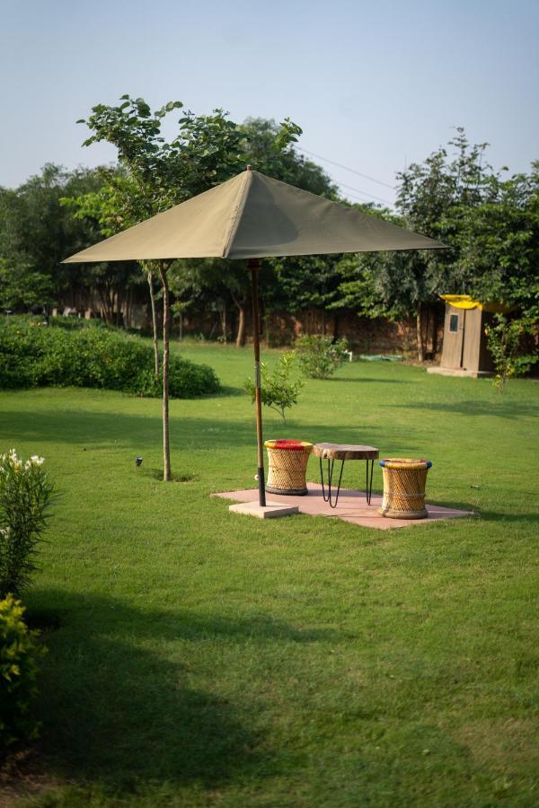 Tree Of Life Ecotainers Agra Hotel Agra  Ngoại thất bức ảnh